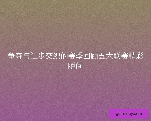 争夺与让步交织的赛季回顾五大联赛精彩瞬间