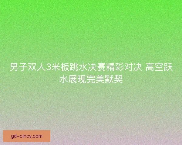 男子双人3米板跳水决赛精彩对决 高空跃水展现完美默契